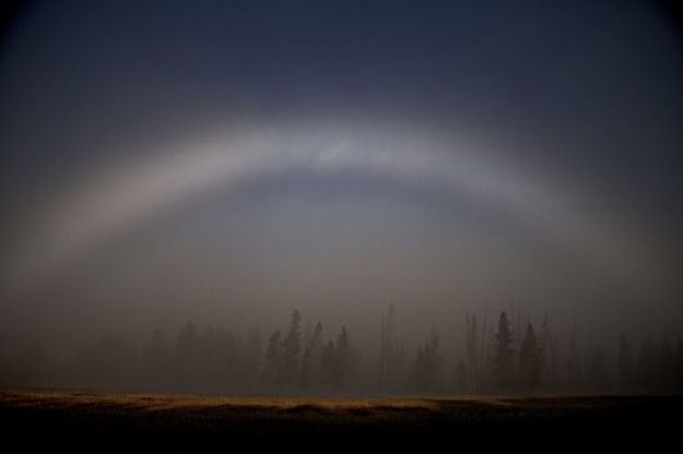 Fog Arch. Photo by Dave Bell.