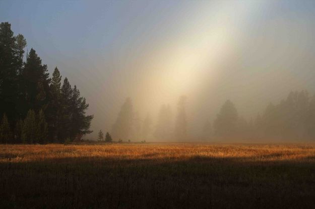 Fog Light Flare. Photo by Dave Bell.