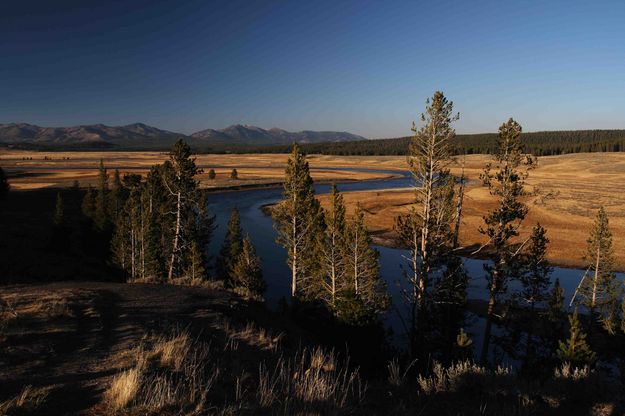 Hayden Valley. Photo by Dave Bell.