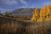 Jackson Lake And Tetons. Photo by Dave Bell.