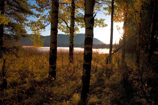 Sunrise Light. Photo by Dave Bell.