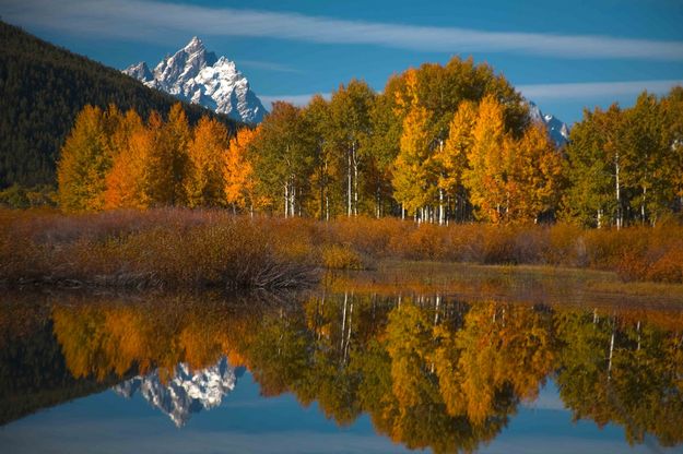Oxbow Reflection. Photo by Dave Bell.