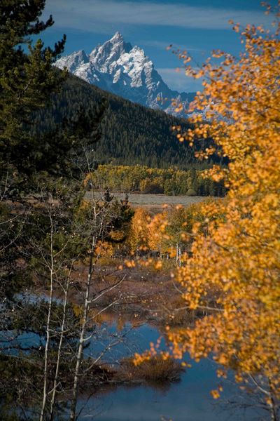 Grand Teton Framed. Photo by Dave Bell.