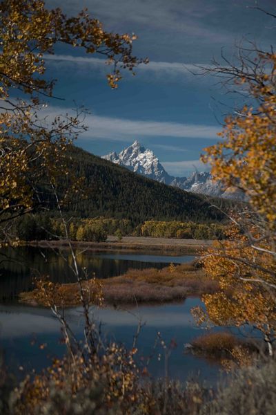 Grand Teton Framed At Oxbow. Photo by Dave Bell.