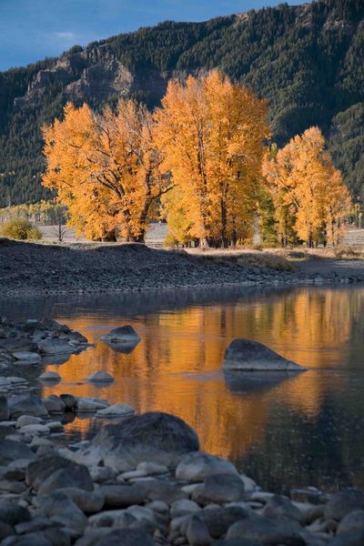 Reflection In Lamar River. Photo by Dave Bell.