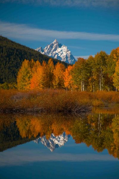 Reflection In Oxbow. Photo by Dave Bell.