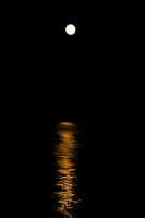 Full Moon Over Yellowstone Lake. Photo by Dave Bell.