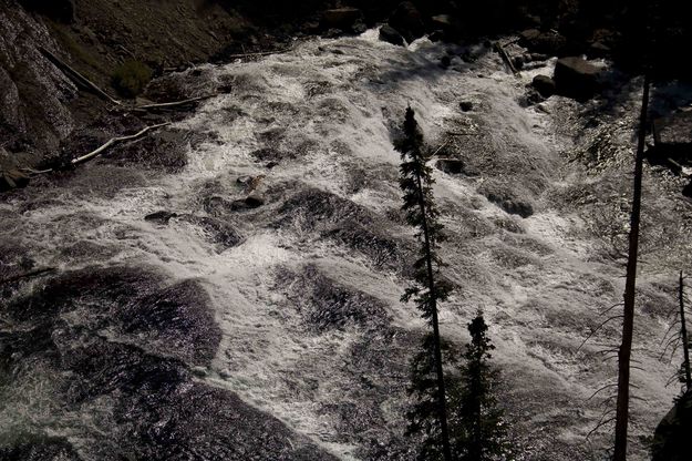 Lewis River Cascade. Photo by Dave Bell.