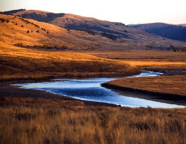 Late Light In Lamar Valley. Photo by Dave Bell.