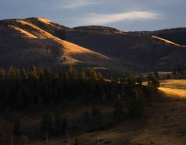 Lamar Valley Hills Light. Photo by Dave Bell.