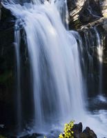 Crawfish Falls Beauty. Photo by Dave Bell.