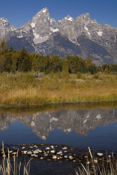 Teton Reflection. Photo by Dave Bell.