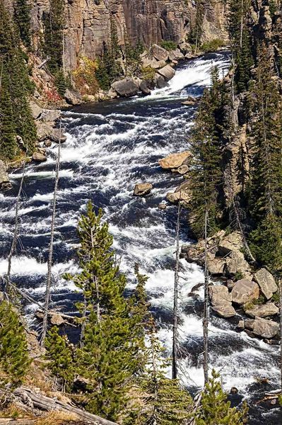 Lewis River. Photo by Dave Bell.