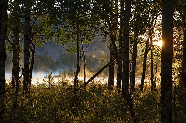 Sunrise At The Oxbow. Photo by Dave Bell.