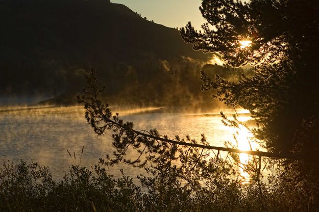 Steamy Oxbow Sunrise. Photo by Dave Bell.