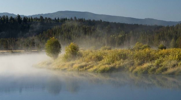 Foggy Bend. Photo by Dave Bell.