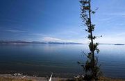 Yellowstone Lake. Photo by Dave Bell.