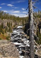 Lewis River Rapids. Photo by Dave Bell.