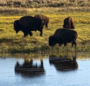 Reflections. Photo by Dave Bell.