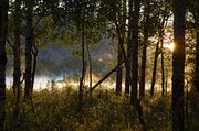 Sunrise At The Oxbow. Photo by Dave Bell.