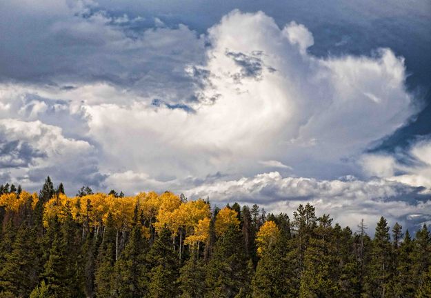 Fall Clouds. Photo by Dave Bell.