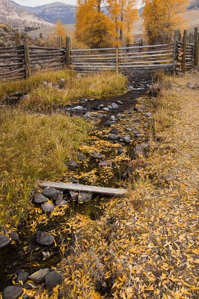 Corrals At Yellowstone Institute. Photo by Dave Bell.