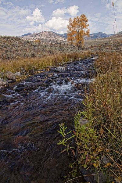 Rose Creek. Photo by Dave Bell.