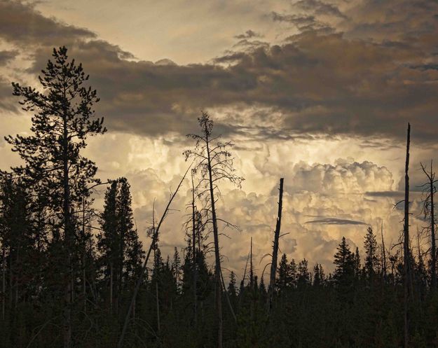 Storm Clouds. Photo by Dave Bell.