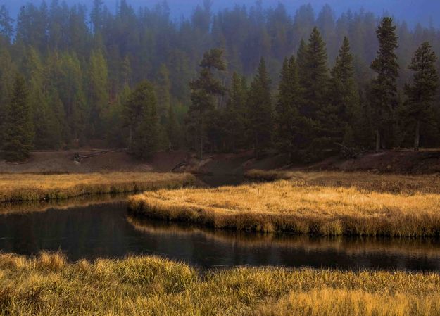 Meandering. Photo by Dave Bell.