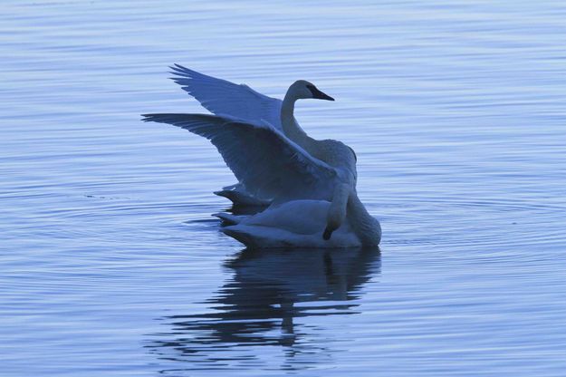 Stretching. Photo by Dave Bell.