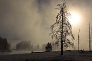 Lifting Fog. Photo by Dave Bell.