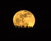 Wind River Sunset And Moonrise On January 29-30, 2010