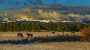 Some light snowfall on Merna and Fall Colors--September 20