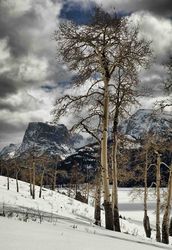 Skiing In The Upper Green