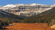 A New Gallery--End Of October--Wyoming Range, Tetons and Griz