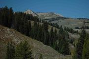 Horse Creek Mountain Biking