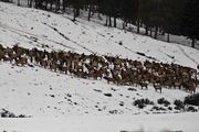 Hoback Country Drive On March 7, 2010