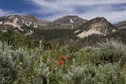 Salt River Range, Bear Creek and McDougall Pass