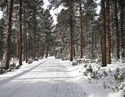 Black Hills of South Dakota