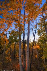 Fall Beauty Of The Wyoming Range