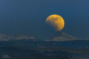 Lunar Eclipse--May 15
