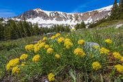 Hike Up Sjhoberg Creek