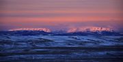 South Cottonwood To Alpine--New Years Day Photo Safari