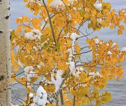 Fall Scenery in Western Wyoming