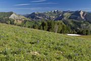 Lookout Mountain-Wyo Range-July 27 And A Few Others