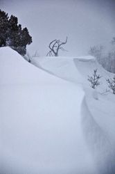 Wintery Weather--Snow And Wind All Day On February 5, 2011