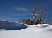 Snowshoeing On Skyline Drive-February 13, 2011