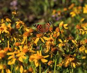 Early Morning Wyoming Range Hike-August 25, 2013