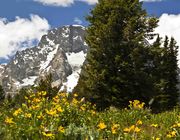 July 4th In Grand Teton National Park