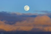 Photography--First Half January--Elk, Sunrises, Sunsets and Full Moon